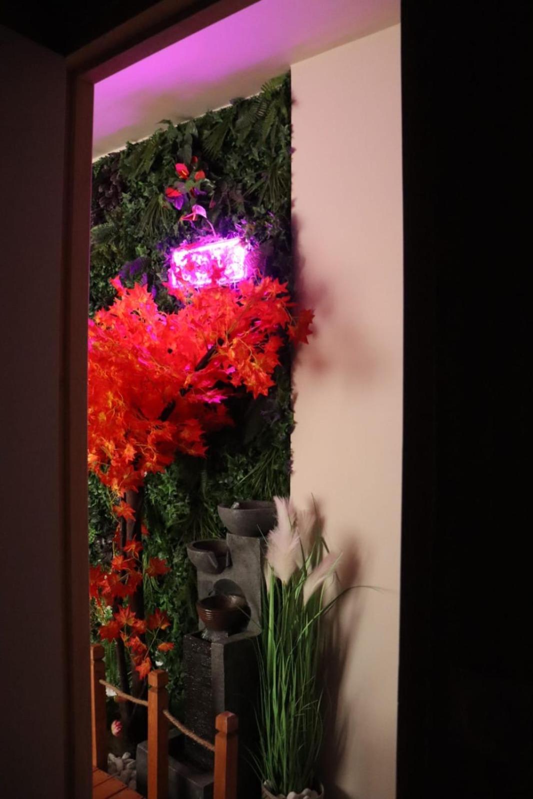 Loveroom Japon Avec Balneotherapie Toulon Exteriör bild